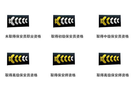 2011式保安服肩章級別標準圖